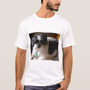 Camiseta Friedberg, Warren