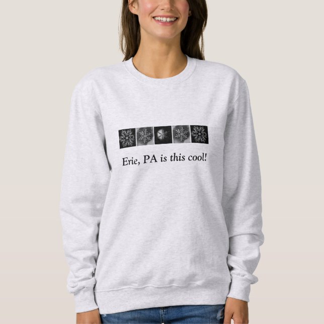 Camiseta Frio de neve de inverno Erie, PA é Legal (Frente)