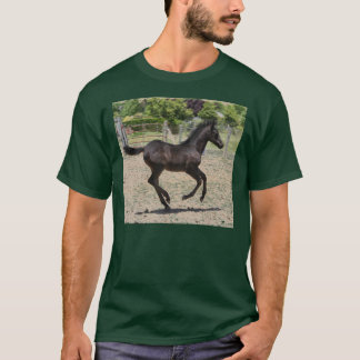 Camiseta Frolic do potro