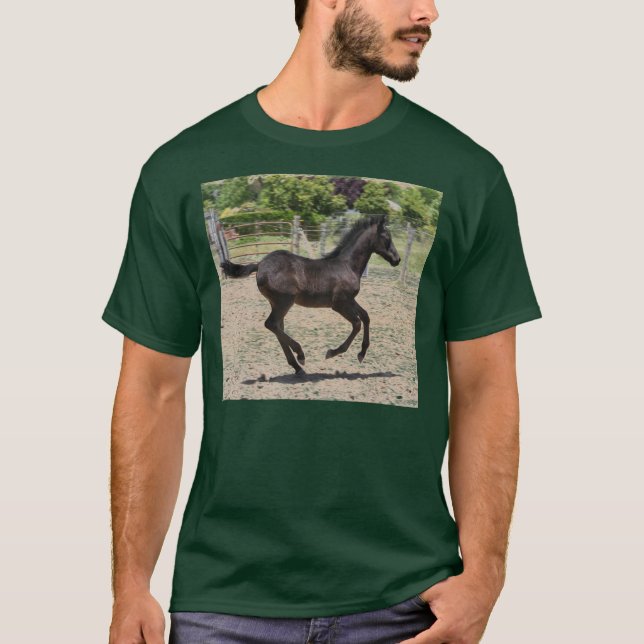 Camiseta Frolic do potro (Frente)