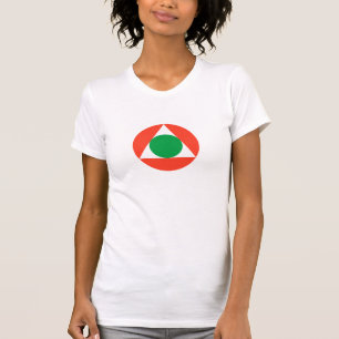 Camiseta Fronteira Libanesa da Força Aérea