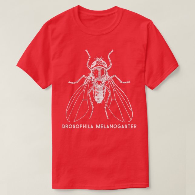 Camiseta Fruta Drosophila Melanogaster para Pesquisa de Gen (Frente do Design)