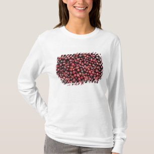 Camiseta Frutas vermelhas do Himalaia