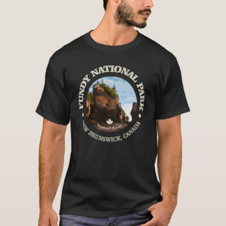 Camiseta Fundy National Park NP vintage