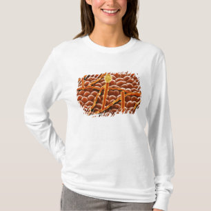 Camiseta Fungo do oídio pulverulento na poinsétia