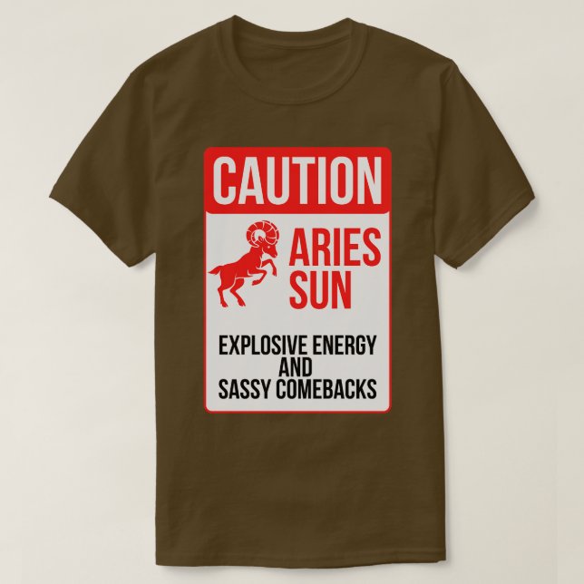 Camiseta Funny Aries Zodiac Sinal Causa Aries Sun Explosive (Frente do Design)