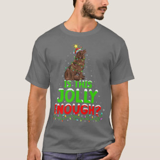 Camiseta Funny Is This Jolly Enough Newfoundland Dog Christ