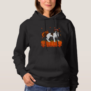 Camiseta Funny Jack Russell Terrier Turquia Pumpkin Thanksg