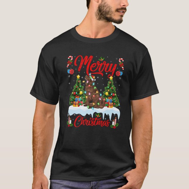 Camiseta Funny Xmas Lighting Santa Hat Newfound (Frente)