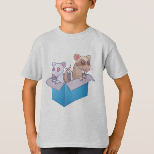 Camiseta Furões Em Caixa