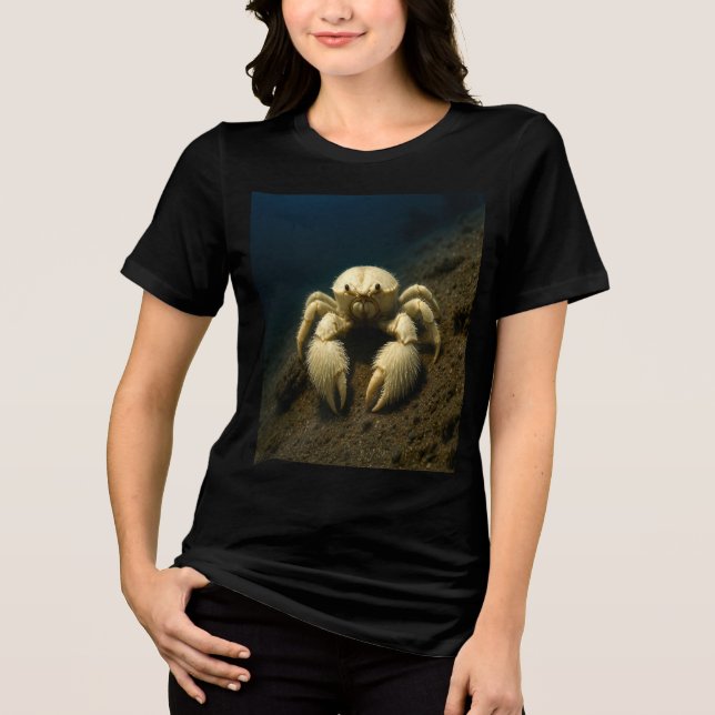 Camiseta Fury (Frente)
