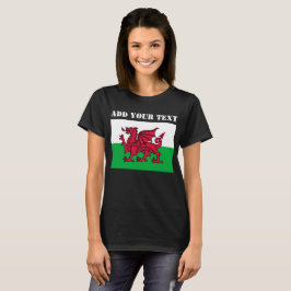 Camiseta Futebol de 2022 - Bandeira do País de Gales