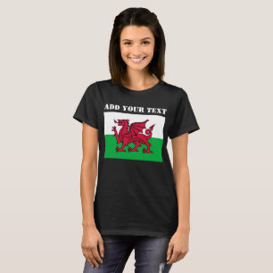 Camiseta Futebol de 2022 - Bandeira do País de Gales