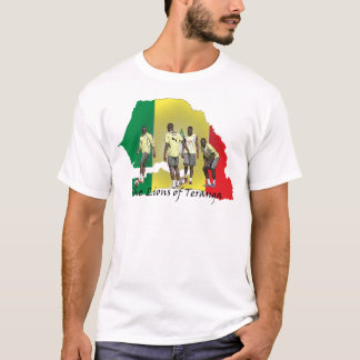 Camiseta Futebol de Senegal