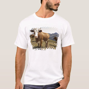 Camiseta Gado