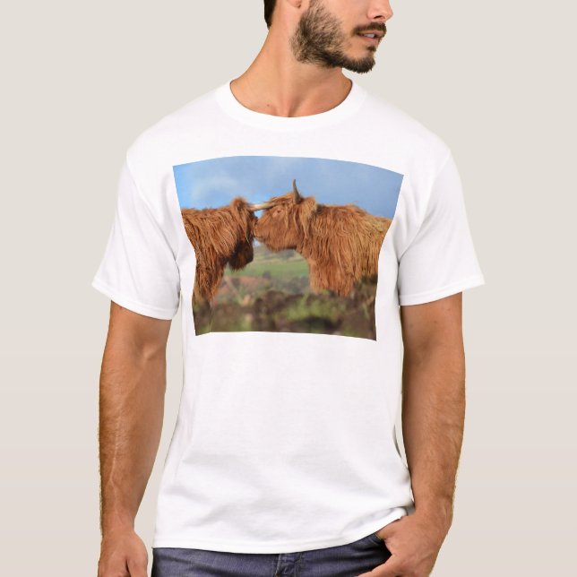 Camiseta Gado escocês das montanhas (Frente)