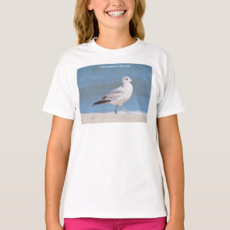 Camiseta Gaivota-de-bico-anelado