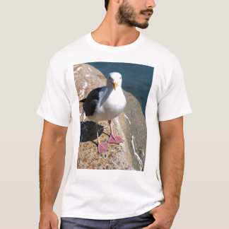 Camiseta Gaivota de mar, baía de Morro, Califórnia
