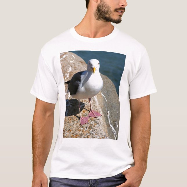 Camiseta Gaivota de mar, baía de Morro, Califórnia (Frente)