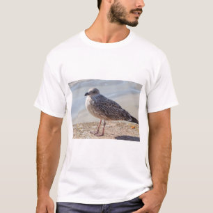 Camiseta Gaivota numa parede