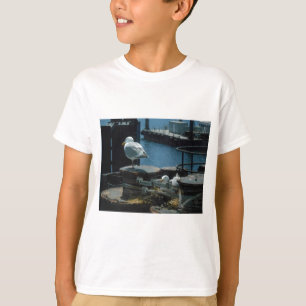 Camiseta Gaivotas