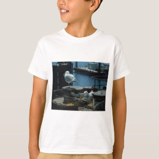 Camiseta Gaivotas