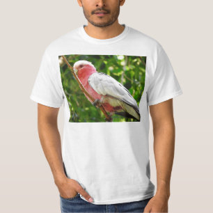 Camiseta Galah (Cockatoo cor-de-rosa de Breasted)