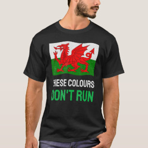 Camiseta Galerias de futebol País de Gales Cores de Bandeir