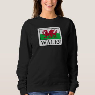 Camiseta Gales