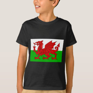 Camiseta Galês/bandeira de Wales - imagem de alta qualidade