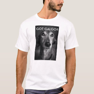 CAMISETA GALGO OBTIDO?