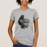 Galinha azul macia bonito de Silkie