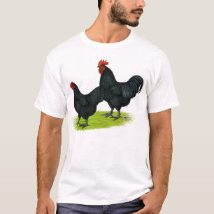 Camiseta Galinhas pretas de Australorp