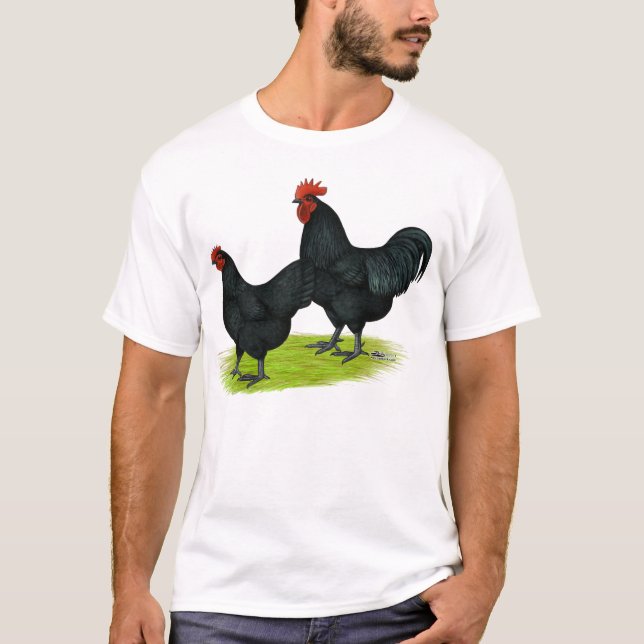Camiseta Galinhas pretas de Australorp (Frente)