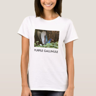 CAMISETA GALLINULE ROXO