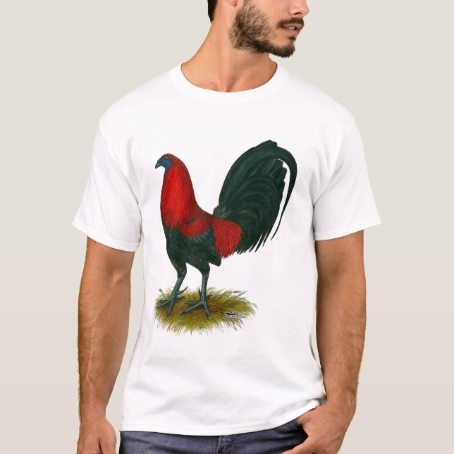 Camiseta Gamecock americano:  Vermelho de Brown (Frente)