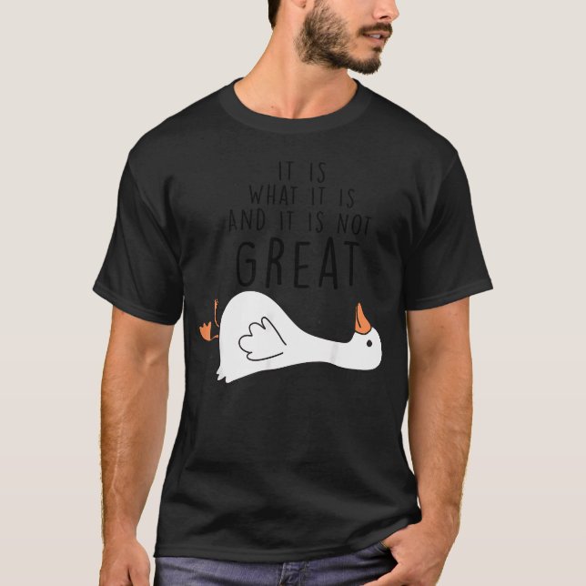 Camiseta Ganso Bobo Animal Divertido Bobo (Frente)