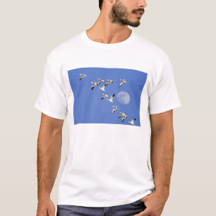 Camiseta Gansos da neve voam no Freezeout Lake NWR
