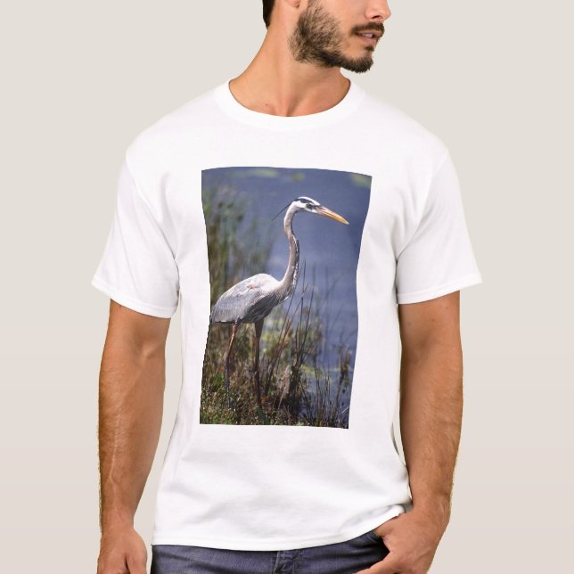 Camiseta Garça-real-azul ave aquática (Frente)
