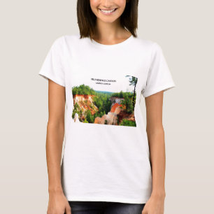Camiseta GARGANTA do PROVIDÊNCIA - Lumpkin, Geórgia