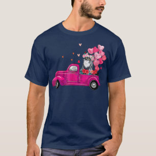 Camiseta garotinha de dia de os namorados de gato de caminh