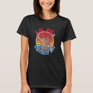 Camiseta Garoto Aniversário Eu Lil Sis I Stegosaurus I Fami
