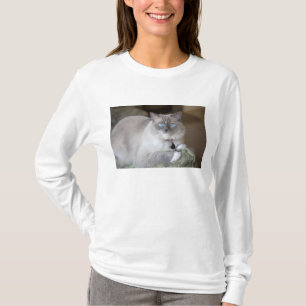 Camiseta Gata Ragdoll fêmea