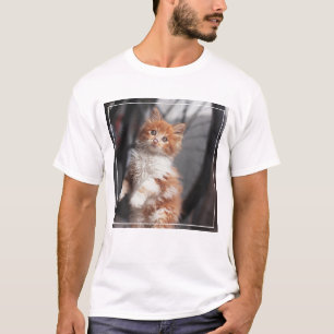 Camiseta Gatinho alaranjado do gato malhado