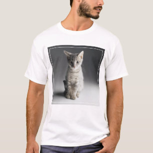 Camiseta Gatinho azul do gato malhado