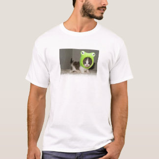 Camiseta gatinho bonito
