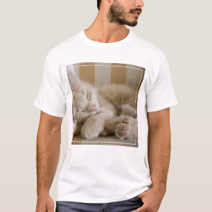 Camiseta Gatinho do sono
