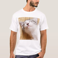 Gatinho do sono