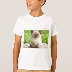 Camiseta Gatinho inocente de Ragdoll