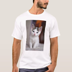 Camiseta Gatinho manchado branco
